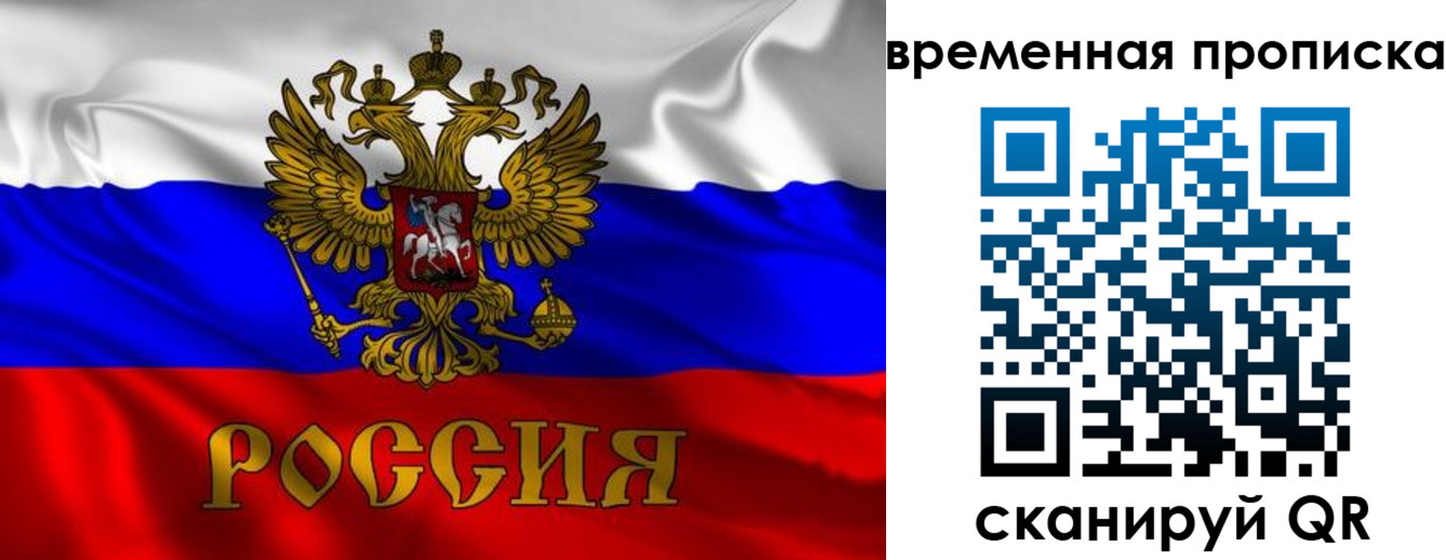 прописка законно в Чистополье